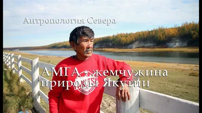 Амга — природная жемчужина якутской земли — Якутский  научно-исследовательский институт сельского хозяйства имени М. Г. Сафронова