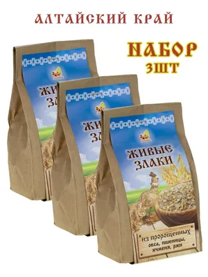 Букет из злаковых растений: рожь, пшеница, просо, овес, лен, h-30 см, цена  30 грн — Prom.ua (ID#1011916273)