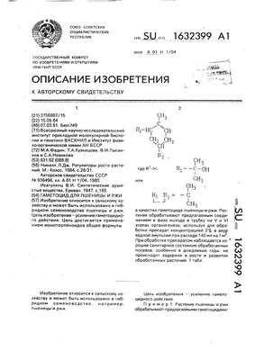 Высокий урожай даже на песчаных почвах — феноменальная особенность  гибридной ржи