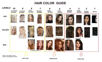 Цвет волос для разных цветотипов