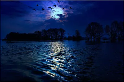 Ночные реки - 52 фото