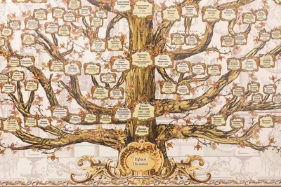 Как составить генеалогическое древо семьи