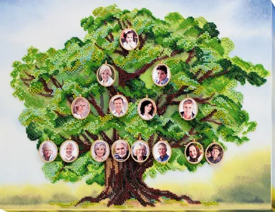 Дерево жизни дерево семьи [64 фото]