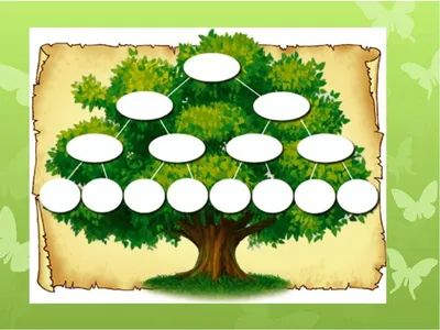 Родословное дерево семьи - фото и картинки: 69 штук