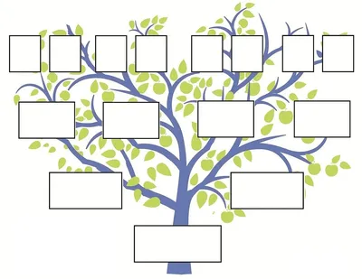 Генеалогическое древо шаблоны для заполнения (46 лучших фото)