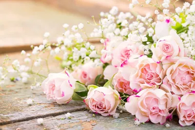 Обои цветок, Роза, цветочный букет, сад роз, розовый - картинка на рабочий  стол и фото бесплатно
