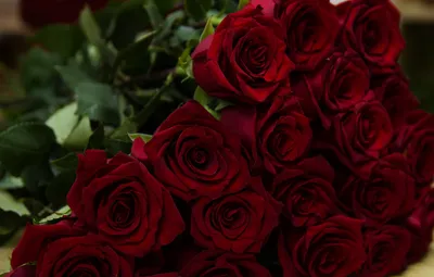 Обои красный, букет, Розы, бутоны картинки на рабочий стол, раздел цветы -  скачать