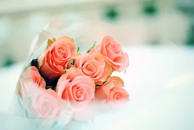 Букет розовых роз в прозрачной упаковке - обои на рабочий стол