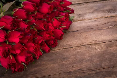 Обои для рабочего стола Розы красных Цветы Много Доски