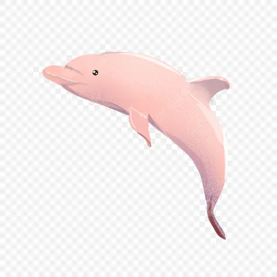 Sea Animals Cartoon Dolphins Pink Cartoon PNG , под водой клипарт, морские  животные, мультфильм дельфинов PNG картинки и пнг PSD рисунок для  бесплатной загрузки