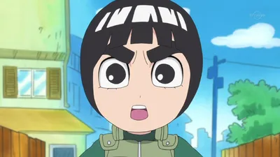 Naruto SD: Rock Lee no Seishun Full-Power Ninden / Аниме