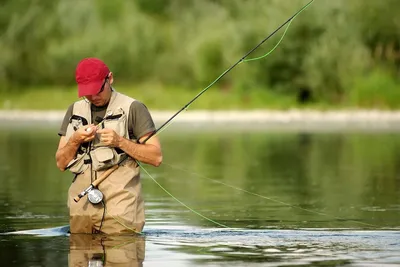 Рыбалка летом: как, где и на что ловить?