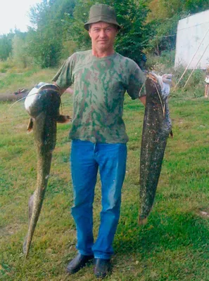 Ловля в Ладожском озере летом * Рыбалка летом * Гостевые дома «Уксунлахти»