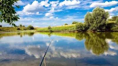 Рыбалка, зимняя и летняя, на реке и на озере. Немного о рыбалке