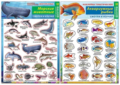 Ихтиофтириоз (манка у рыб): симптомы, лечение в общем аквариуме