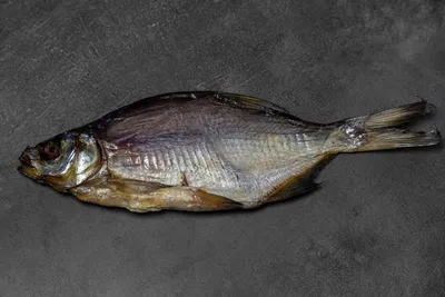 Лещ вяленый икряной | Вобла - Интернет-магазин вяленой рыбы