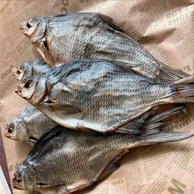 Cушёный лещ - Fishop рыбный магазин - магазин рыбы