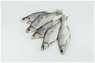 Сушеная и вяленая рыба. Астраханский \"Лещ\" (солёно-сушёный) крупный 4 кг —  купить в интернет-магазине по низкой цене на Яндекс Маркете