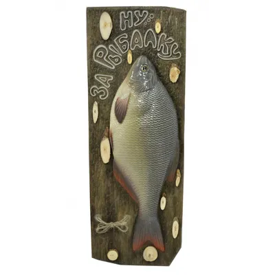 Макет рыбы лещ - купить в подарок рыболову любителю в  интернет-магазине/Фишингифтс