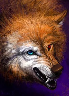 Фото Злой рыжий волк с глазами разного цвета, by Alaiaorax