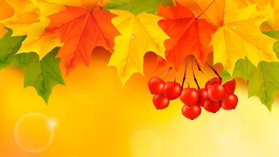 Фото кленовые листья рябина осень - бесплатные картинки на Fonwall