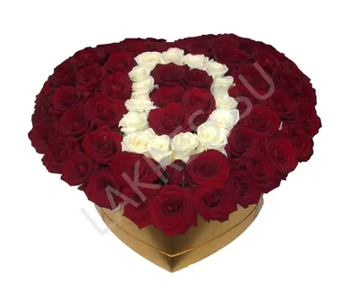 Купить элитные красивые 75 роз в коробке с буквой \"D\" с бесплатной  доставкой по Москве и МО.