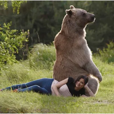 С медведем фото