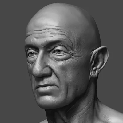 Джонатан Бэнкс - 3D ZBrush Head 3D Модель $199 - .ztl .obj - Free3D