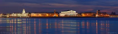 Картинка Санкт-Петербург ночью » Ночные города » Города » Картинки 24 -  скачать картинки бесплатно