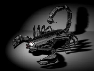 Цельнометаллический роботизированный скорпион черного цвета | Обои для  телефона