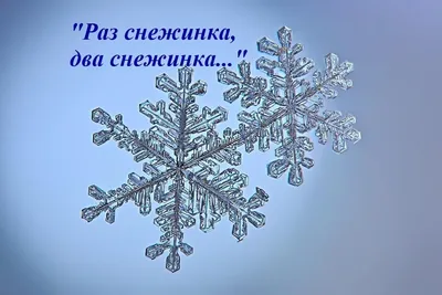 Эти фото заставят вас полюбить зиму: невероятные снимки снежинок и мыльных  пузырей - KP.RU