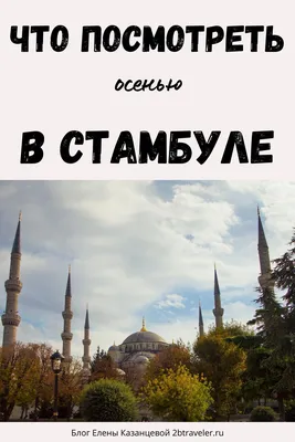 Анжелика о Стамбуле и Турции🇹🇷 on Instagram: “Где в Стамбуле найти  идеальную осень зимой❓ ⠀ Да, что там осень в Стамбуле зимой можно найти  даже весну, в некоторых парках до сих пор…”