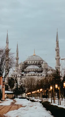 Стамбул Турция Ноябрь 2020 Осенью Быкада Острова Князей стоковое фото  ©mehdi33300 595482670