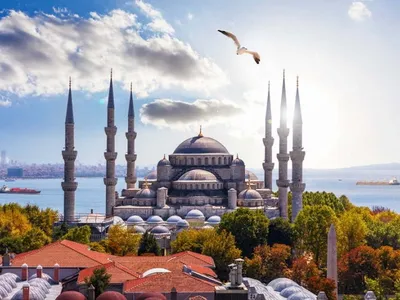 Стамбул в октябре 2021: что смотреть, погода, что одевать |  Mystanbul-Life.info