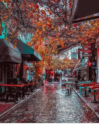 Стамбул осень - фото и картинки: 47 штук