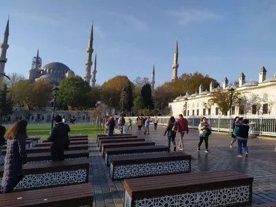 Что делать и смотреть осенью в Стамбуле? Советы новичкам | Ассоциация  Туроператоров
