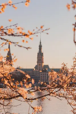 Баку. Старый Город — экскурсия