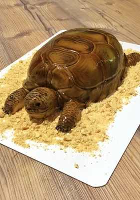 Торт 3Д Черепаха | Пикабу