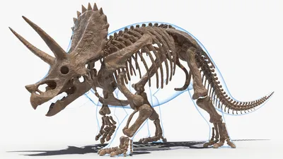 рисунок динозавра трицератопс PNG , брутальный бычище, иллюстрация,  динозавр PNG картинки и пнг PSD рисунок для бесплатной загрузки