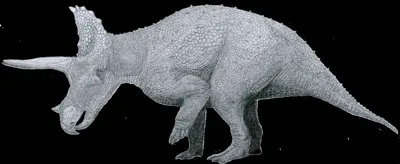 Трицератопс динозавр, трицератопс сколько весит