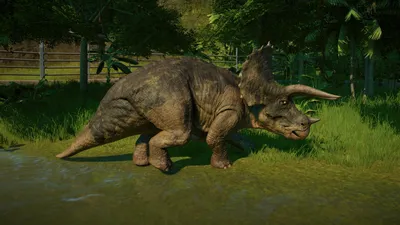 В наличии! Фигурка трицератопса Nanmu в масштабе 1:35, тяжелая копья,  статуя динозавра цератопсиды, коллекционная игрушка для взрослых, подарок -  купить по выгодной цене | AliExpress