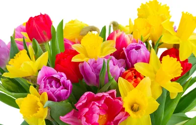 Обои весна, colorful, тюльпаны, 8 марта, flowers, beautiful, нарциссы,  Tulips картинки на рабочий стол, раздел цветы - скачать