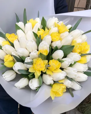 Букет из белых Тюльпанов и нарциссов | Pretty flowers, Tulips, Flowers  bouquet