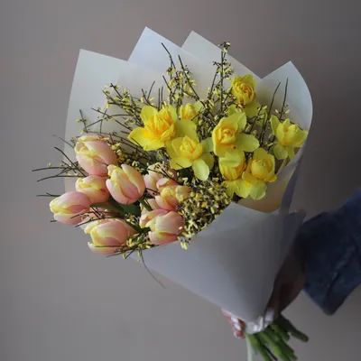 Букет из нарциссов, тюльпанов и генисты - заказать доставку цветов в Москве  от Leto Flowers
