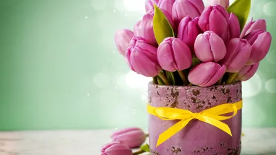 Картинка цветы букет, тюльпаны 1280x720 скачать обои на рабочий стол  бесплатно, фото 343484