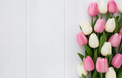 Обои цветы, букет, тюльпаны, розовые, белые картинки на рабочий стол,  раздел цветы - скачать