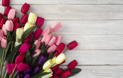 Обои цветы, букет, весна, тюльпаны картинки на рабочий стол, раздел цветы -  скачать