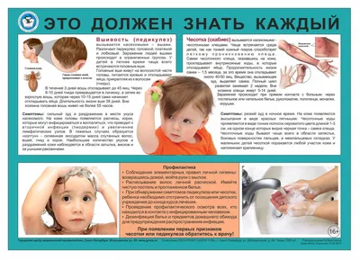 Бельевые вши: как выглядят, чем опасны и как избавиться