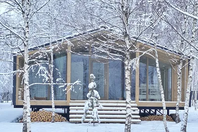 Наедине с природой: уютный дом в березовой роще с панорамными окнами и  деревянной отделкой