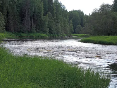 Рыбалка на хариуса на малых реках, снасти для ловли хариуса летом и осенью